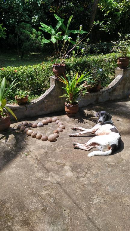 Arabian Soul Bed & Breakfast Varkala Luaran gambar